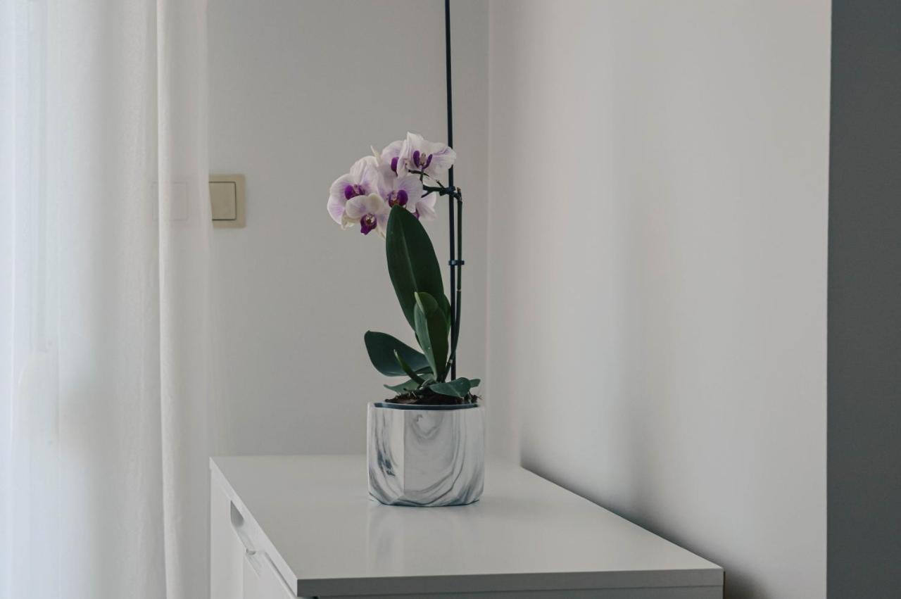 Apartment Valentina Задар Екстериор снимка